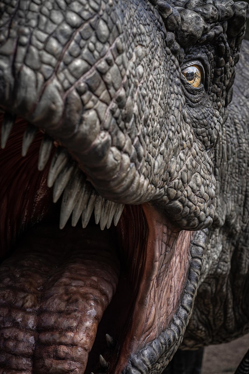 Dinosaur Adventure